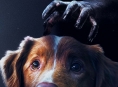 ستتمكن من مشاهدة Good Boy على ديزني+ بحلول نهاية أبريل