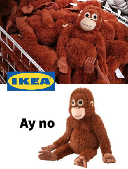 من هو لكمة القرد؟ المكاك الشاب الذي أصبح تقريبا أكثر شهرة من دونالد ترامب