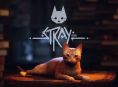 Stray متوفر الآن على Xbox