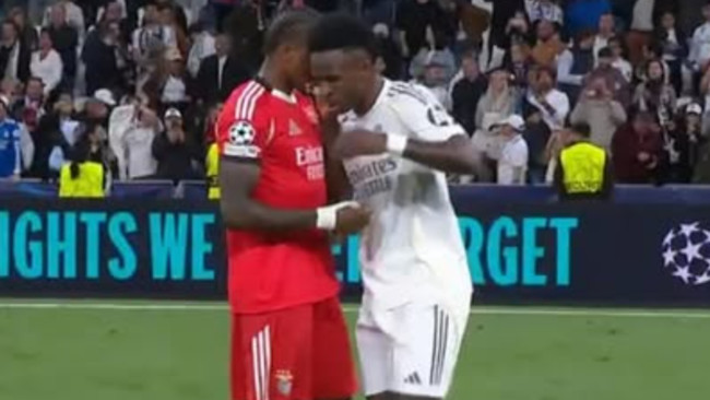 لاعب بنفيكا تعرض للانتقاد والإهانة بسبب حديثه مع فينيشيوس... وبريستياني يحبها