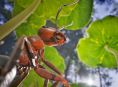 Empire of the Ants تطلق في نوفمبر