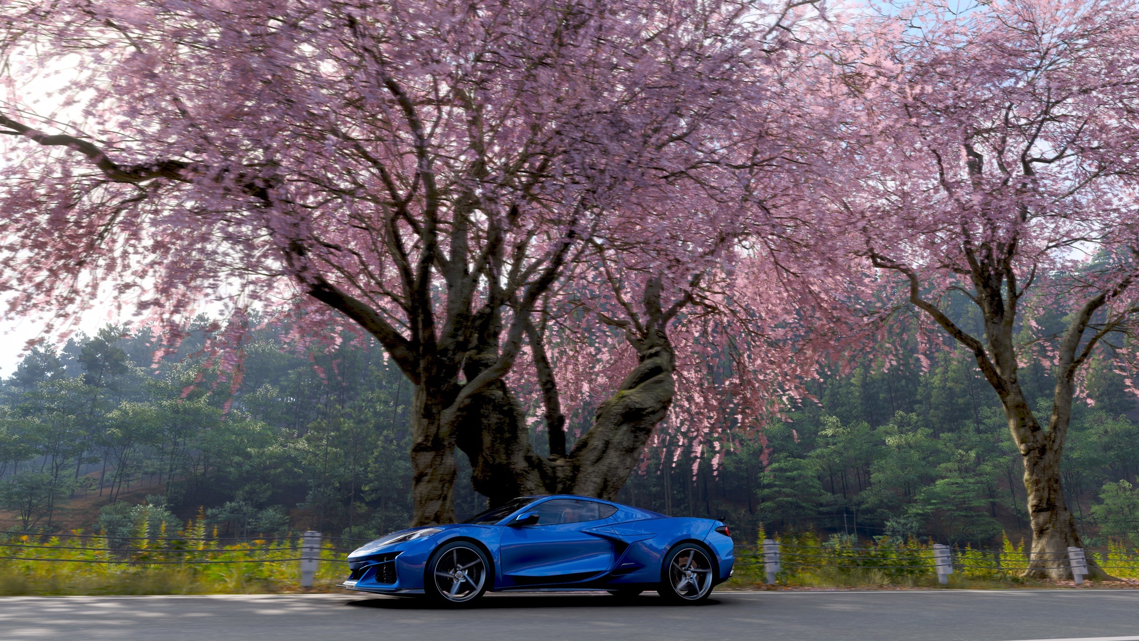 Forza Horizon 6
