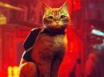 Stray يحصل على فيلم رسوم متحركة