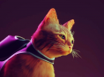 يصعد Stray إلى أعلى مخططات المبيعات على Xbox