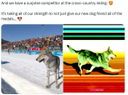 الحساب الرسمي لموقع Olympics X يحذف بهدوء منشورا مضحكا عن حادثة الكلب الفيروسي لكنها خطيرة إلى حد ما