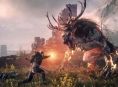 The Witcher 3: Wild Hunt كان يسمى شيئا مختلفا تماما تقريبا