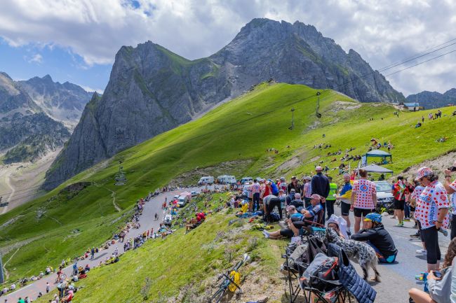 سباق فرنسا للدراجات يقصر المرحلة 19 بسبب مرض معد في الأبقار