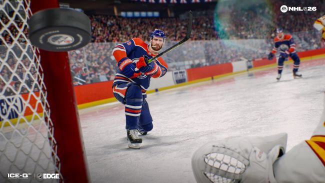 شهد NHL شيئا غير متوقع: شجار بين حارس المرمى