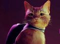 Stray يشق طريقه إلى Xbox One و Xbox Series في أغسطس