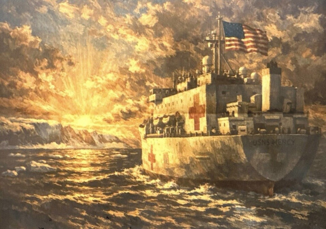 ترامب يعرض سفينة مستشفى إلى جرينلاند، لكن رئيس وزراء غرينلاند يقول "لا شكرا"