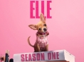 سلسلة Legally Blonde السابقة ستصل على Prime Video في يوليو
