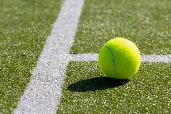 نصف نهائي ويمبلدون يومي الخميس والجمعة: زفيريف وفيري في رابطة محترفي التنس (ATP)، كوستيوك ونوسكوفا في رابطة محترفات التنس (WTA)